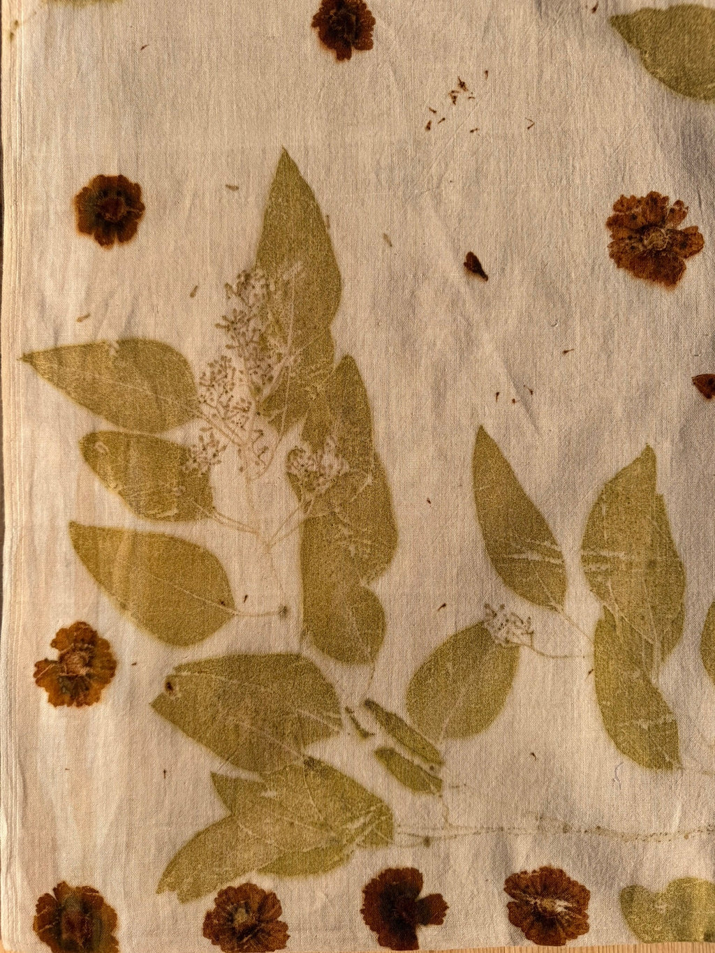 Botanically dyed shawl - Coreopsis & Eucalyptus