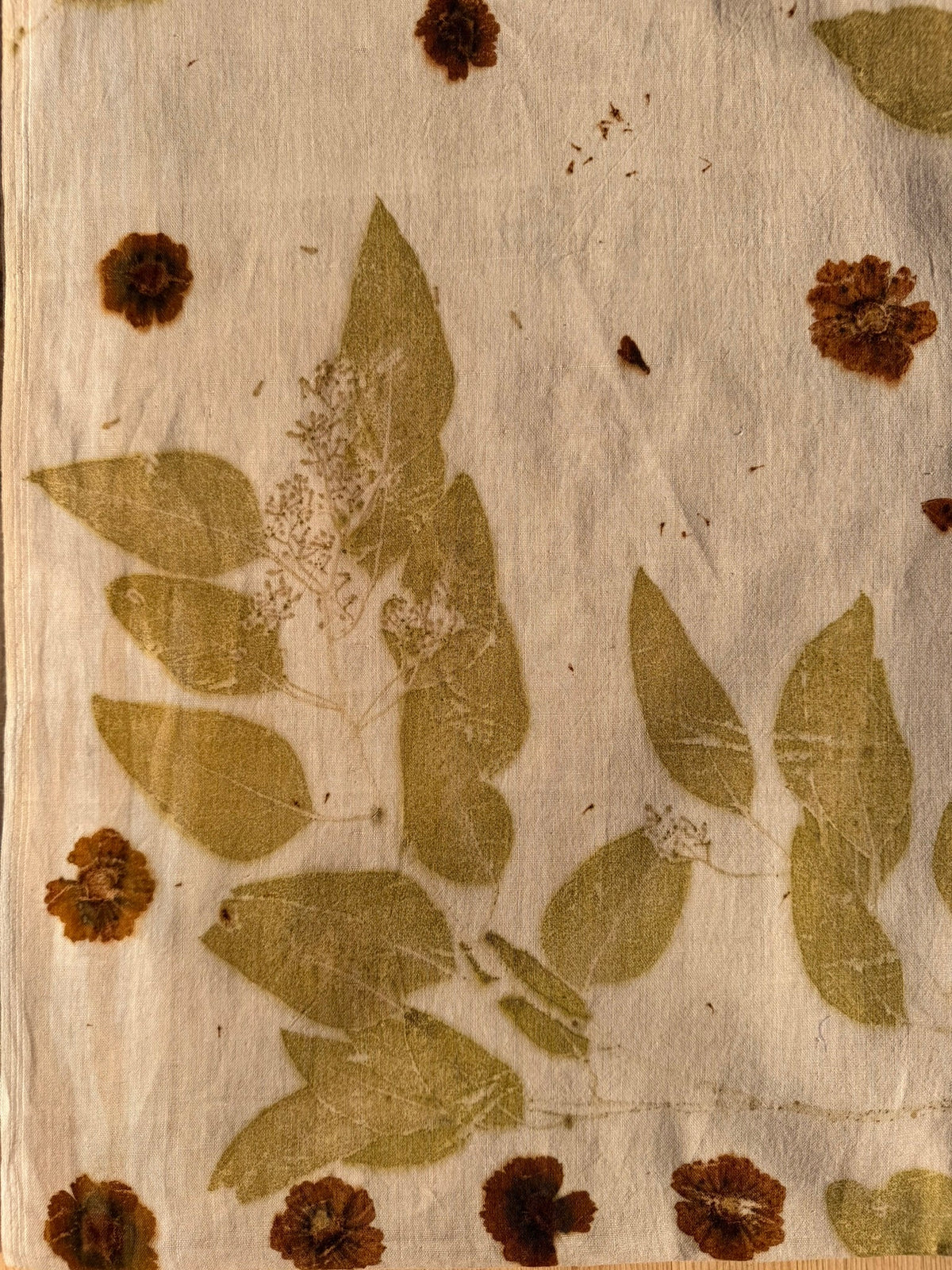 Botanically dyed shawl - Coreopsis & Eucalyptus
