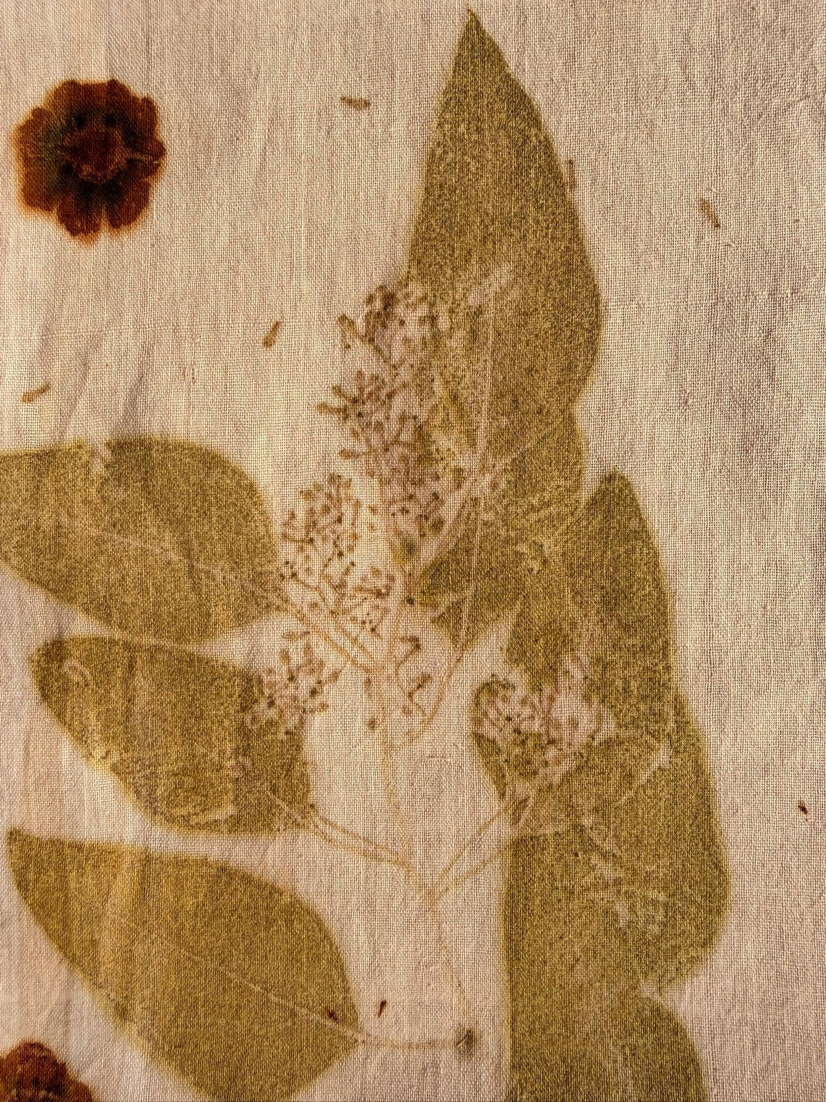 Botanically dyed shawl - Coreopsis & Eucalyptus