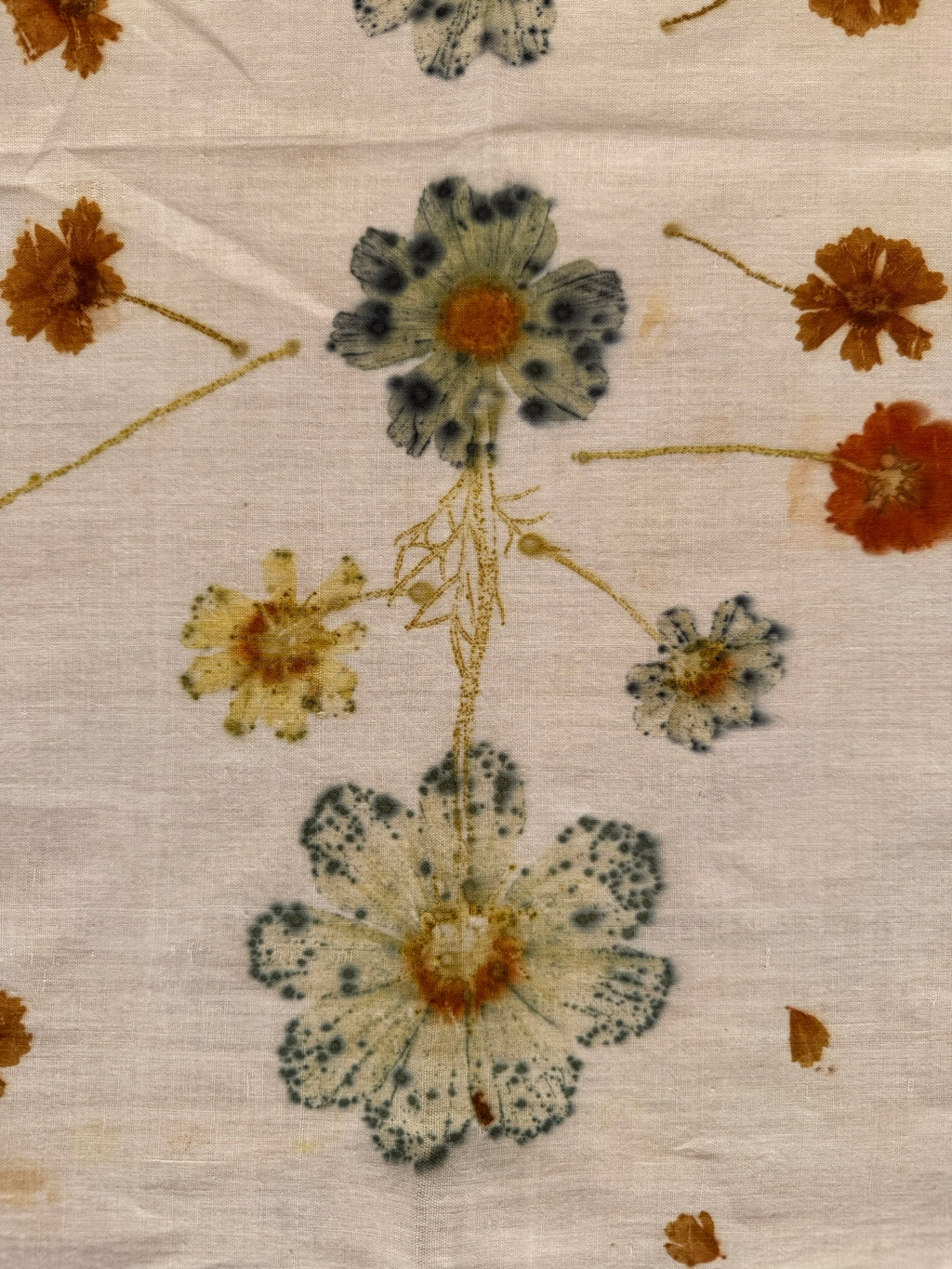 Botanically dyed shawl - Cosmea & Coreopsis